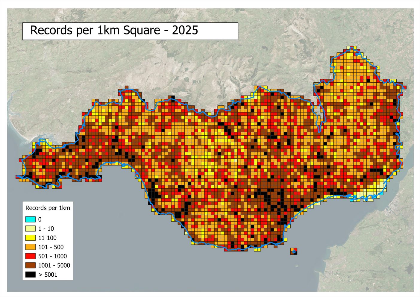 Records per 1km Square 2025